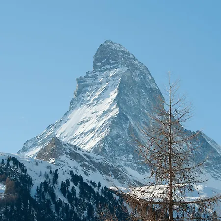 Hotell Hemizeus & Iremia Zermatt